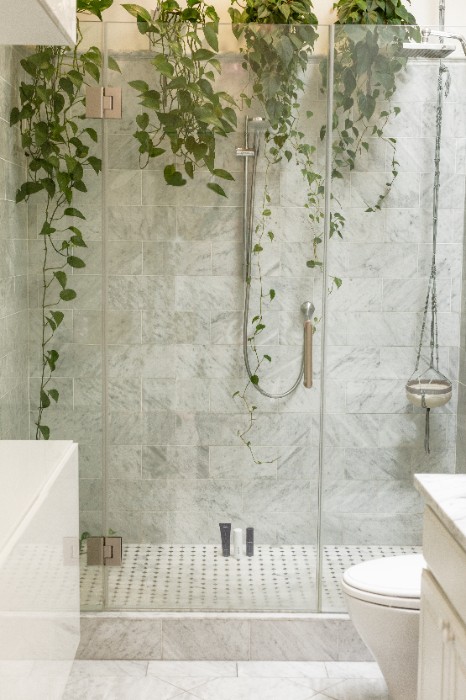 Plants in walk in shower