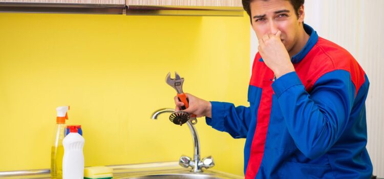 Why Your Sink Drain Smells Bad and How to Fix It For Good Why Your Sink Drain Smells Bad and How to Fix It For Good